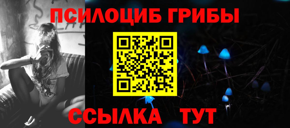 Саров  Псилоцибиновые грибы мухоморы  Вход с VPN  Галлюциногенные грибы Psilocybe 